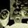 Domenico's profile image