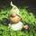 Raffaela's profile image